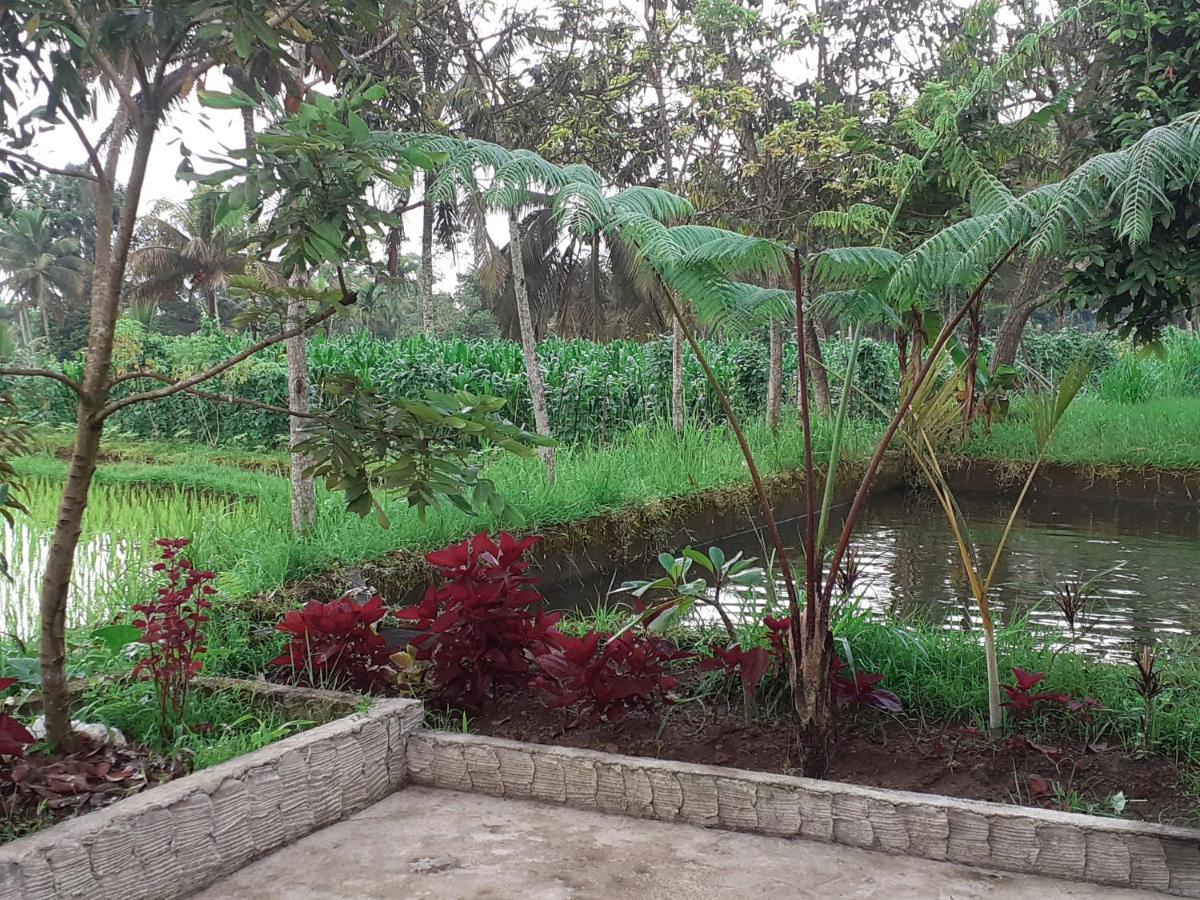 Eltari Homestay テテバトゥ エクステリア 写真