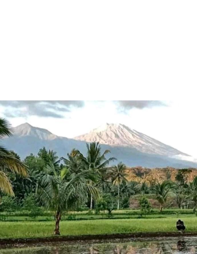 Eltari Homestay テテバトゥ エクステリア 写真
