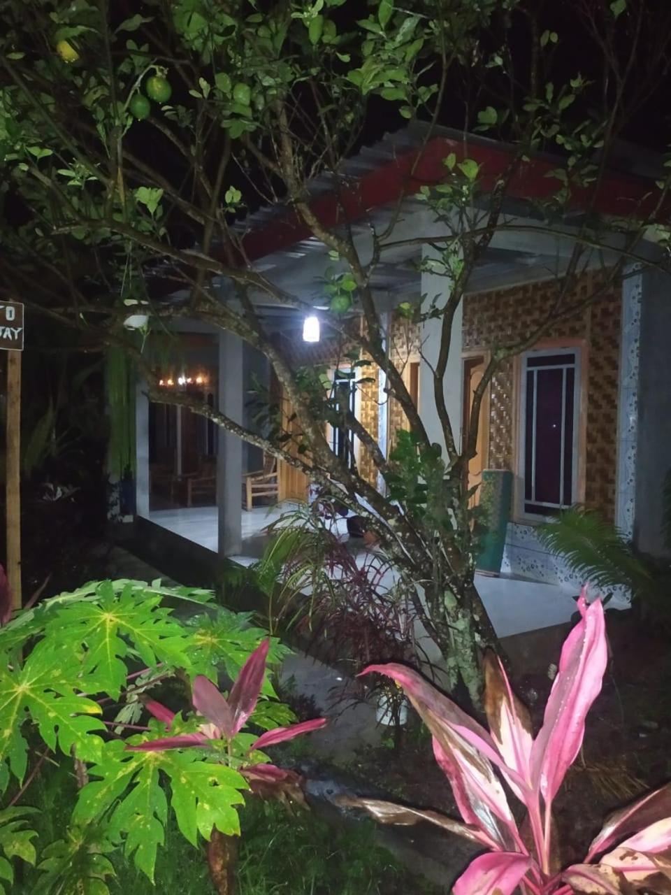 Eltari Homestay テテバトゥ エクステリア 写真